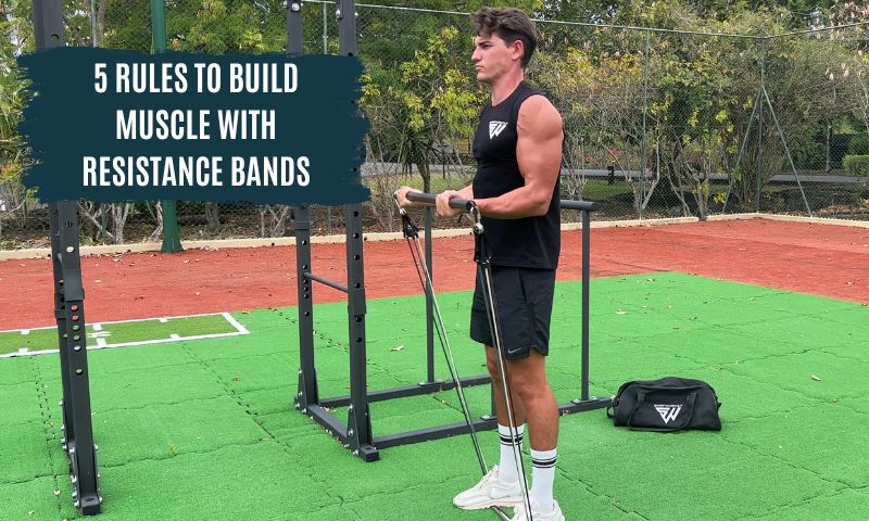 5 Crucial Rules for Building Muscle with Resistance Bands