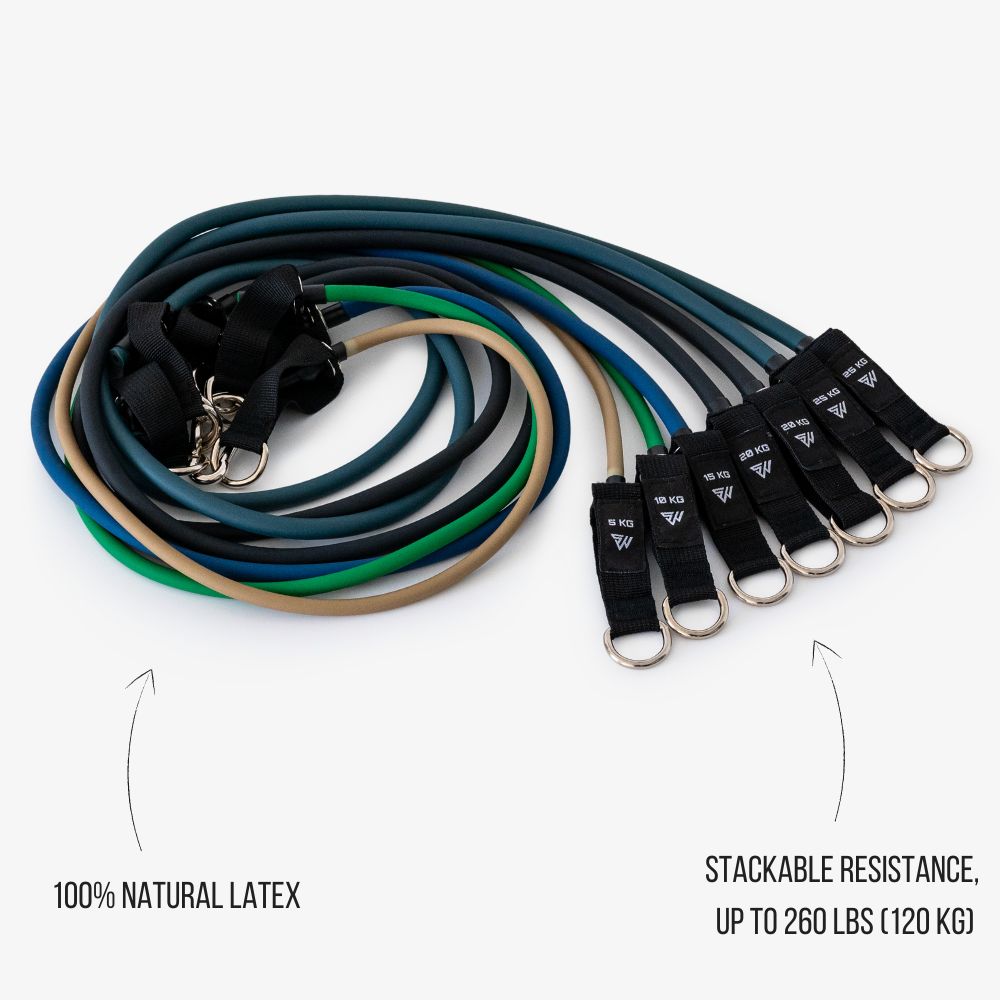 SmartWorkout Pro, Economic and Portable Resistance Band Set